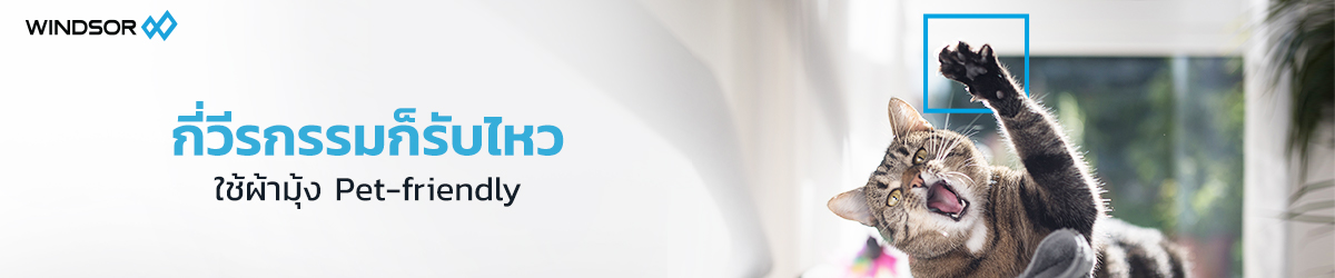 Banner_Desktop_กี่วีรกรรมเจ้าตัวแสบสี่ขา_ก็พร้อมรับ.jpg
