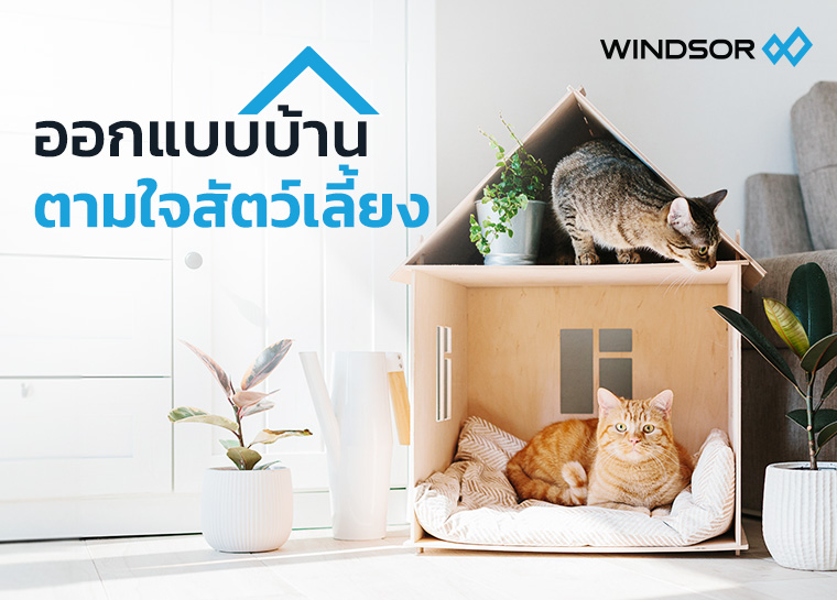 Banner_Mobile_WINDSOR_ออกแบบบ้านอย่างไรให้ปลอดภัยต่อสัตว์เลี้ยง.jpg