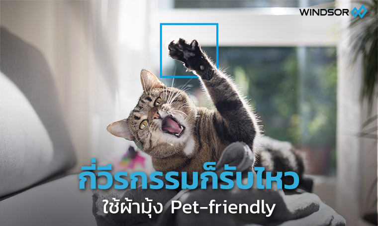 Banner_Mobile_กี่วีรกรรมเจ้าตัวแสบสี่ขา_ก็พร้อมรับ.jpg